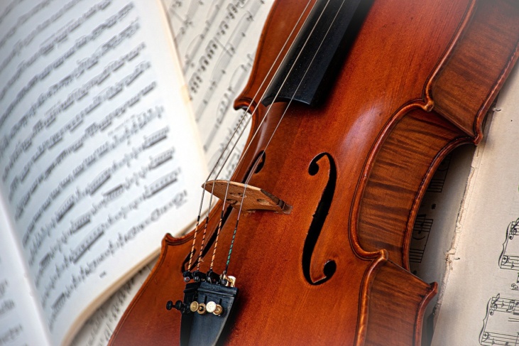 Violin 7775182 1280 Violin 7775182 1280