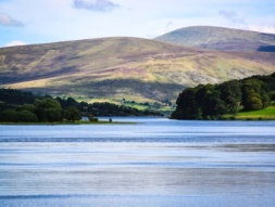 Visit blessington lakes